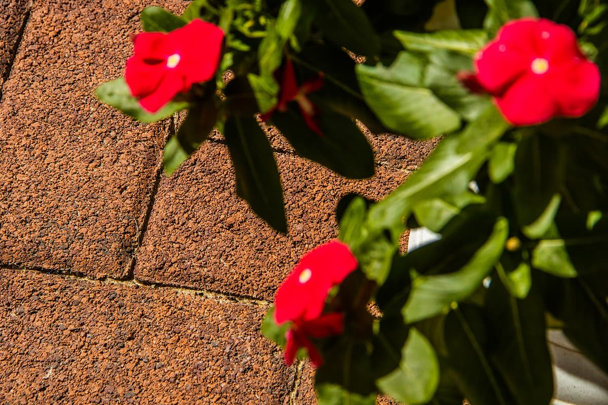 kollekcziya platczstoun 100h200h45 granit klinker